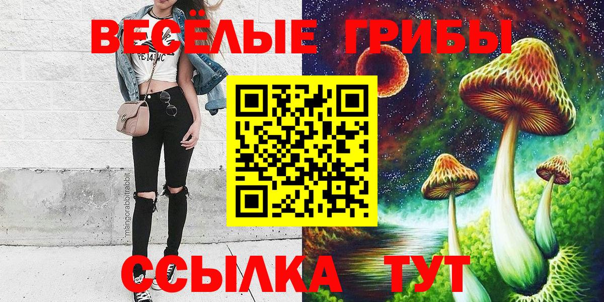 Псилоцибиновые грибы мицелий  Вход с VPN  Коломна 